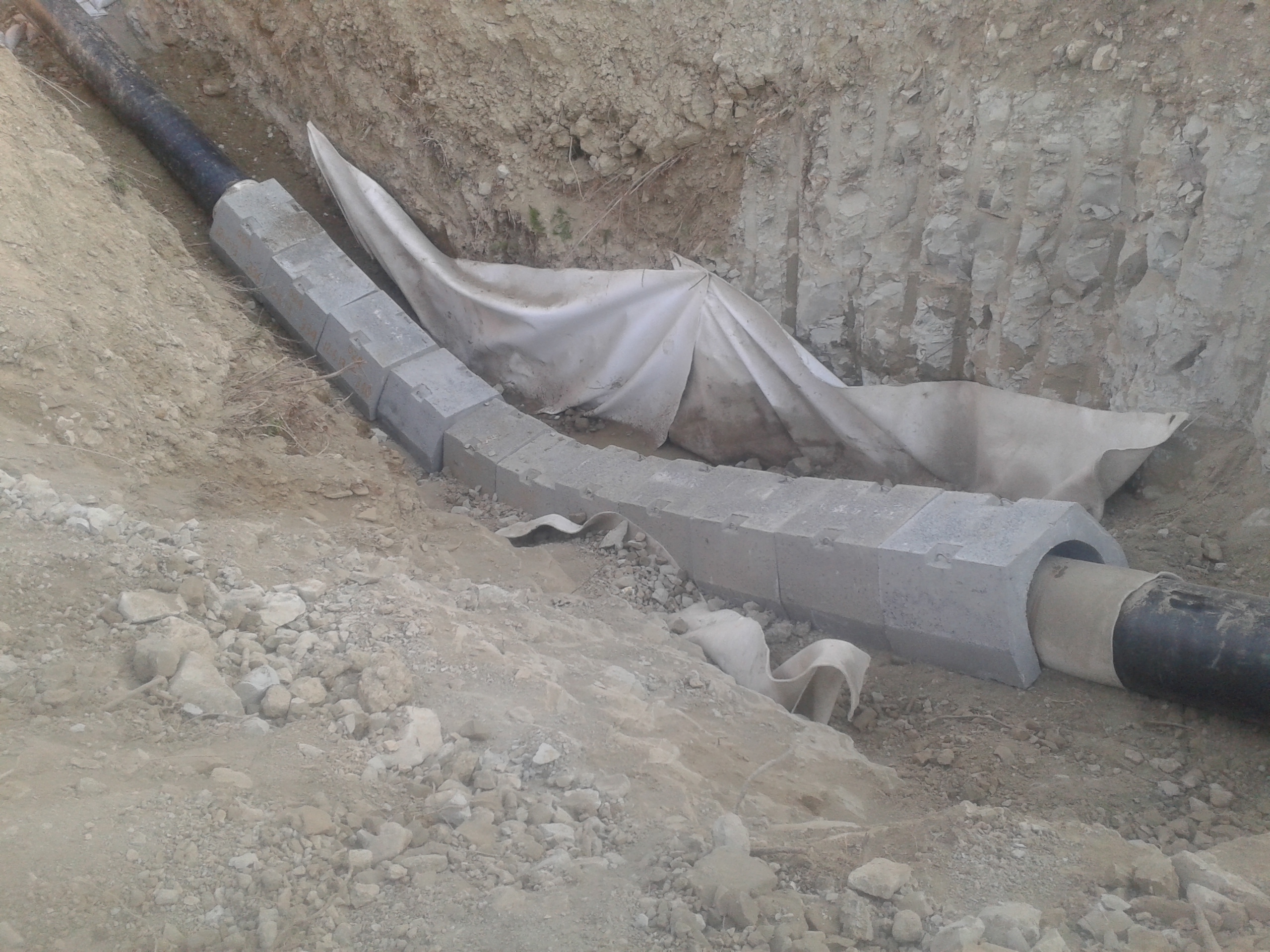 20130903_190054.jpg