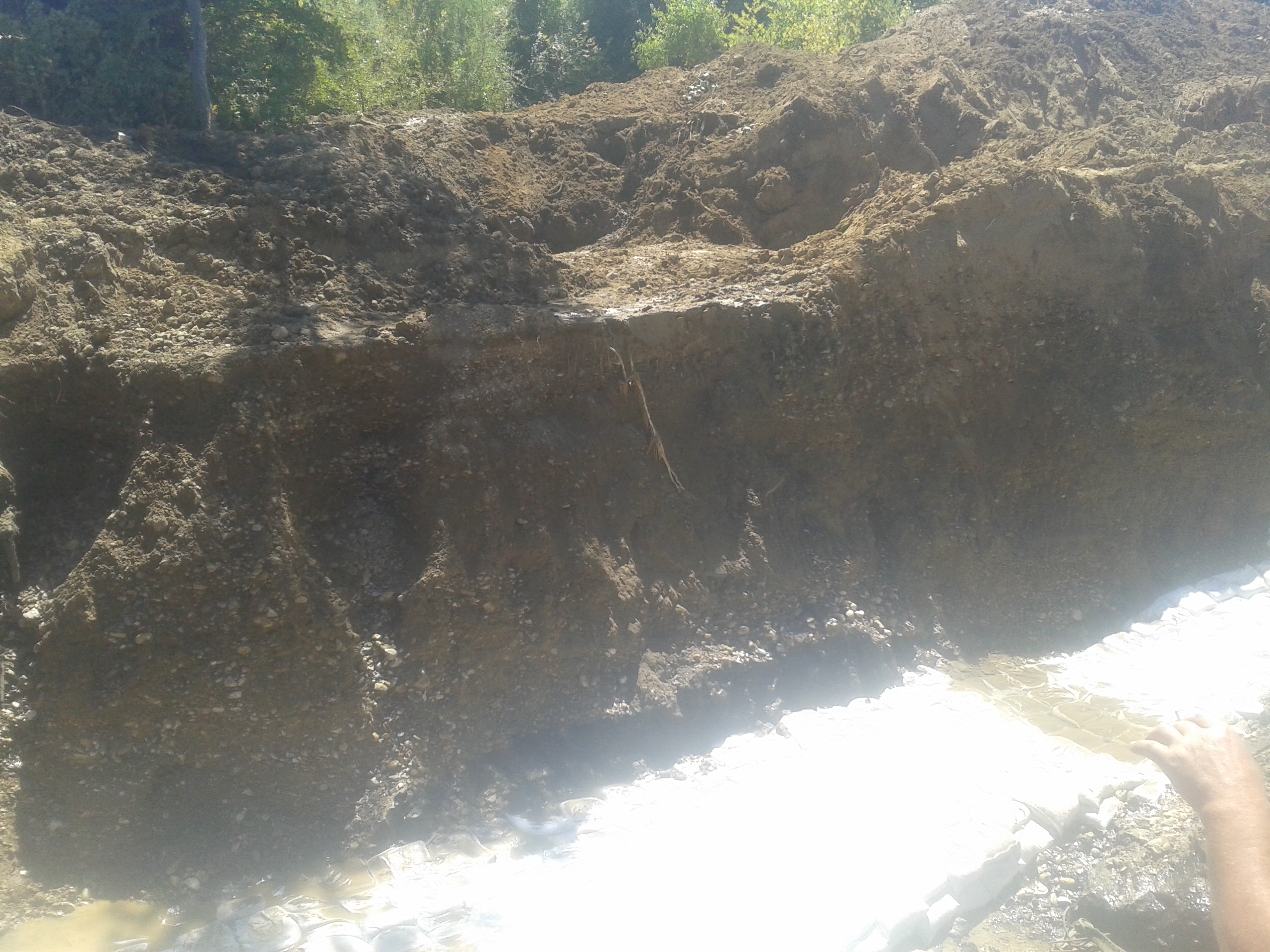 20130914_131156.jpg
